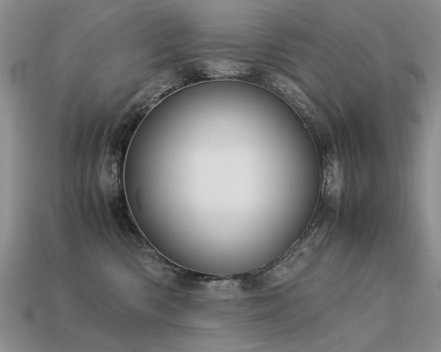 X0000113590426200909181335