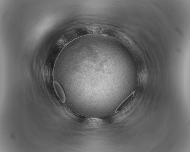 X0000113590429200909181335