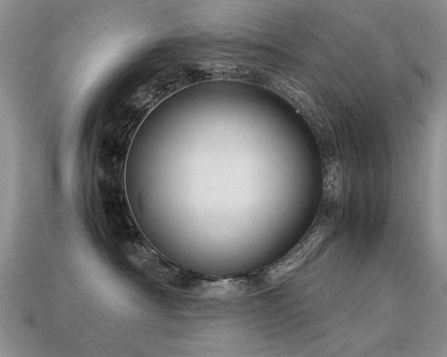 X0000113590430200909181335