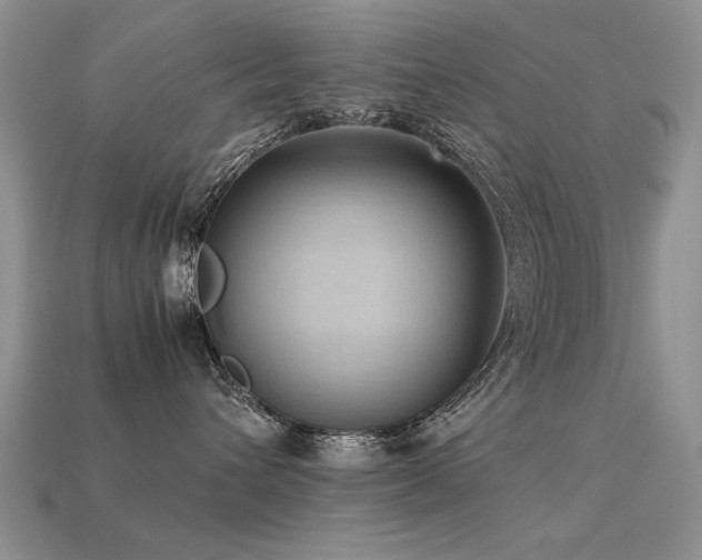 X0000113590432200909181335