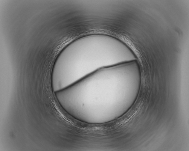 X0000113590433200909181335