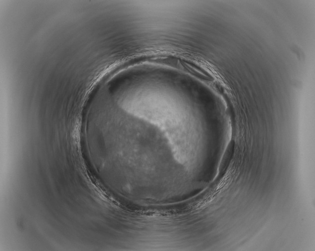 X0000113590434200909181335