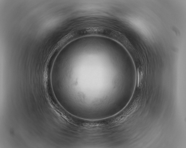 X0000113590435200909181335