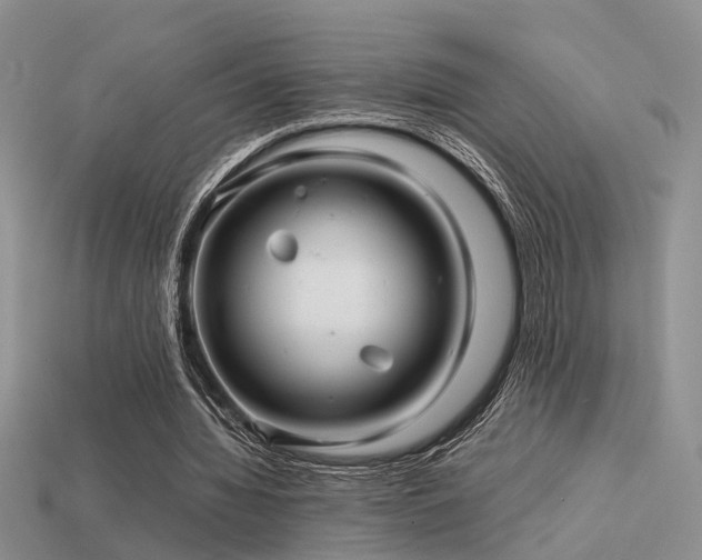 X0000113590436200909181335