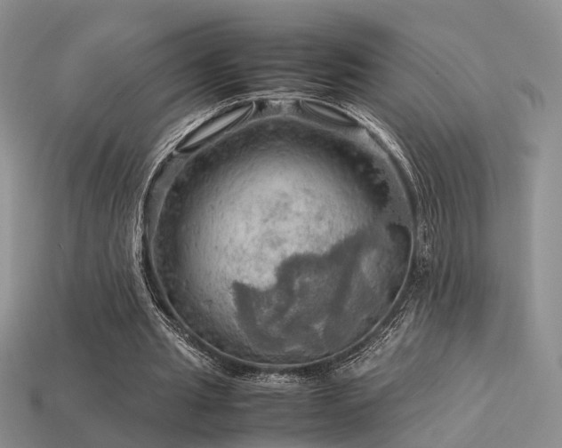 X0000113590437200909181335