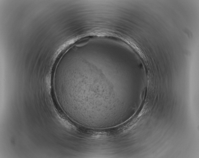 X0000113590438200909181335