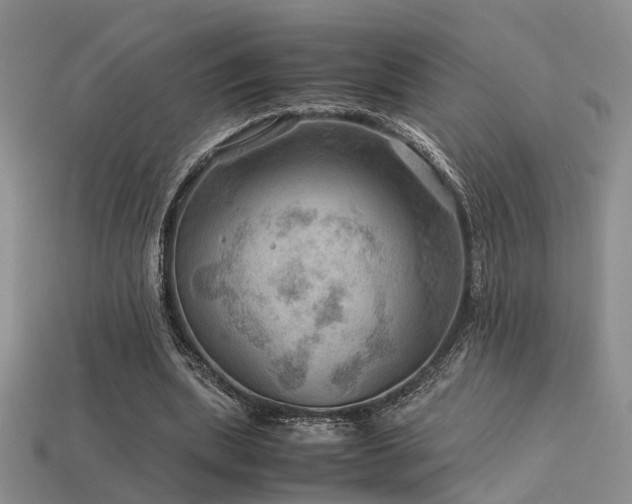 X0000113590439200909181335