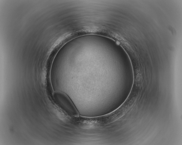 X0000113590440200909181335