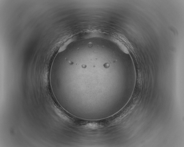 X0000113590441200909181335