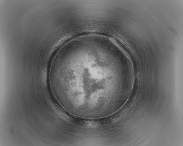 X0000113590442200909181335