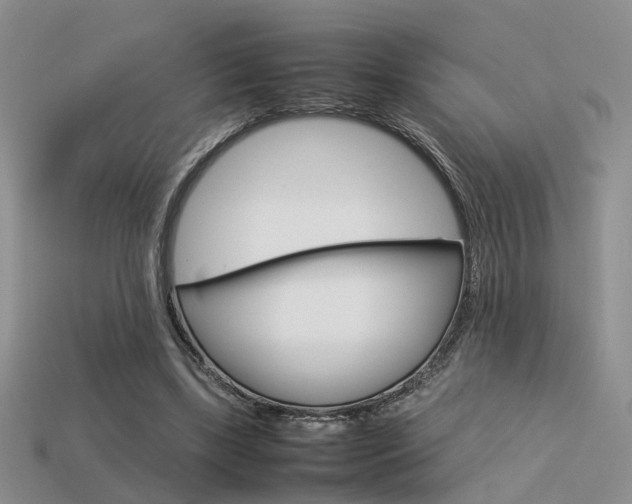 X0000113590443200909181335