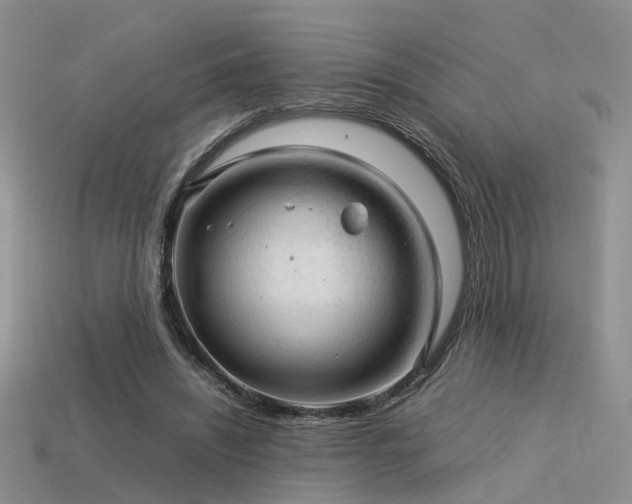 X0000113590444200909181335