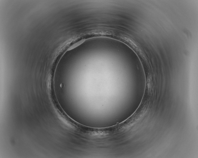 X0000113590445200909181335