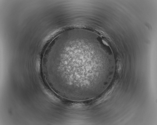 X0000113590446200909181335