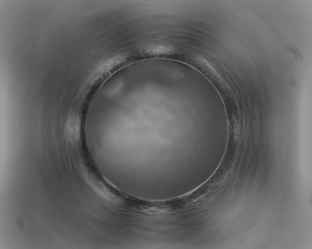 X0000113590447200909181335