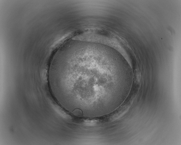 X0000113590450200909181335