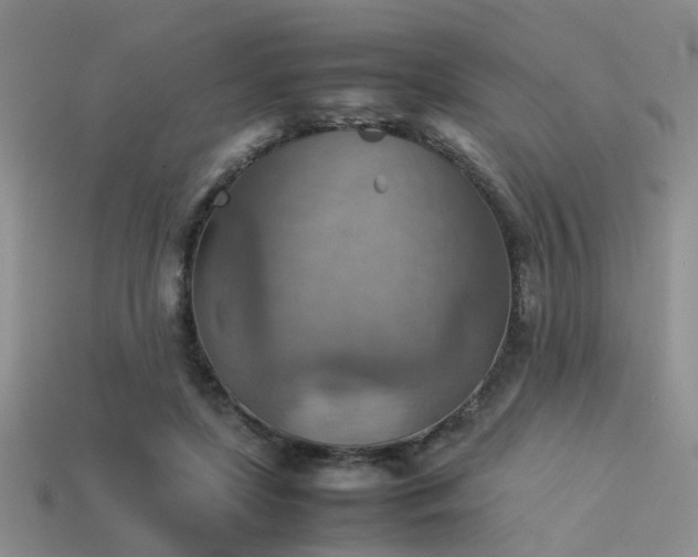 X0000113590451200909181335