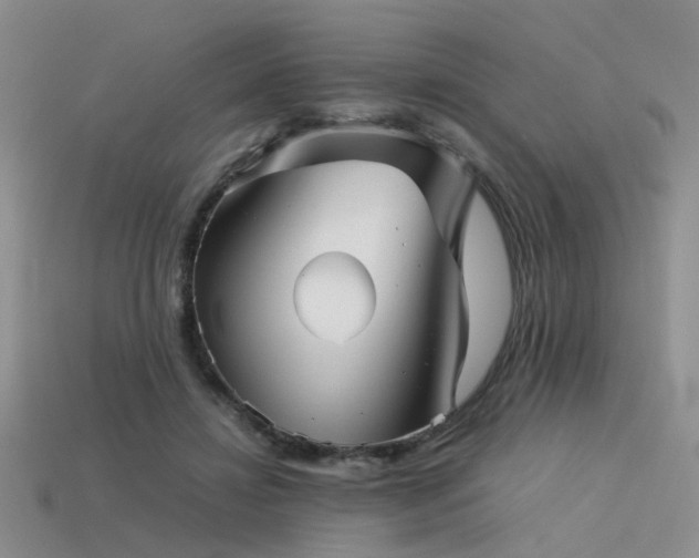 X0000113590452200909181335