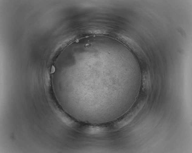 X0000113590453200909181335