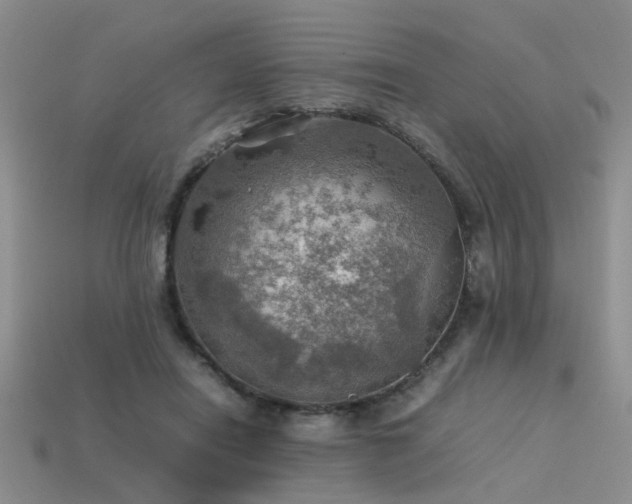 X0000113590454200909181335