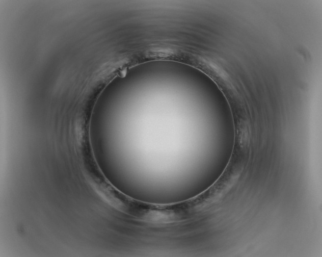 X0000113590455200909181335