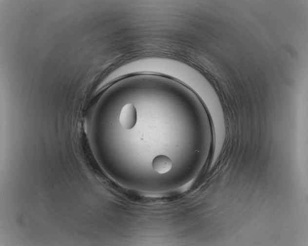 X0000113590456200909181335