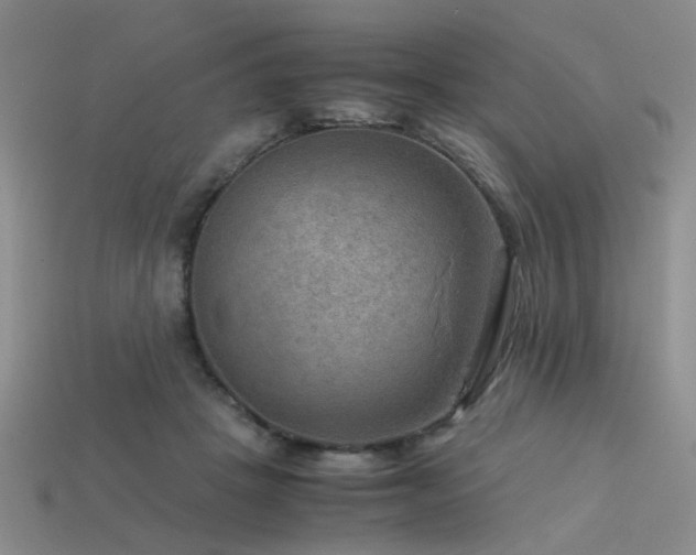 X0000113590457200909181335