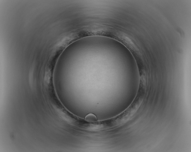 X0000113590458200909181335