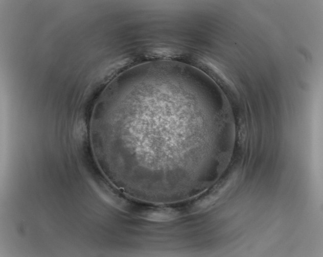 X0000113590459200909181335