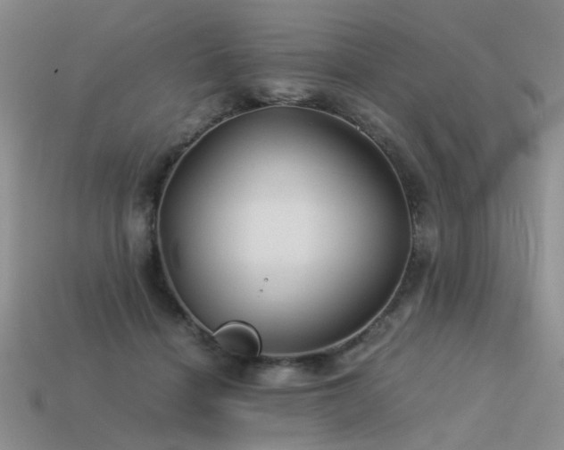 X0000113590460200909181335