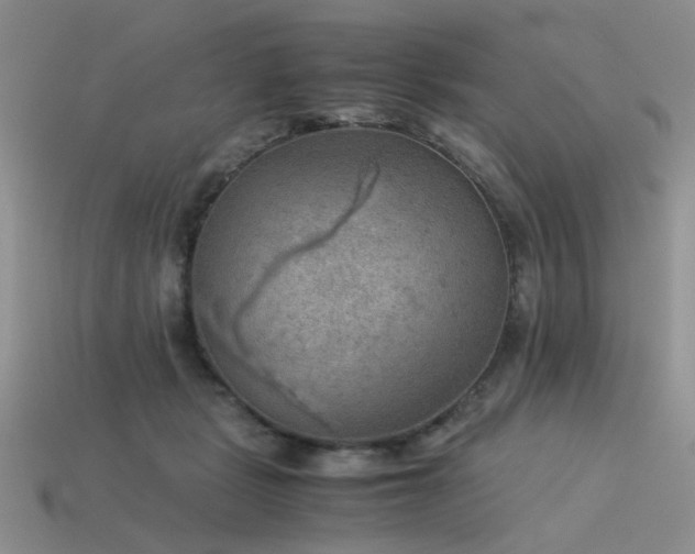 X0000113590461200909181335