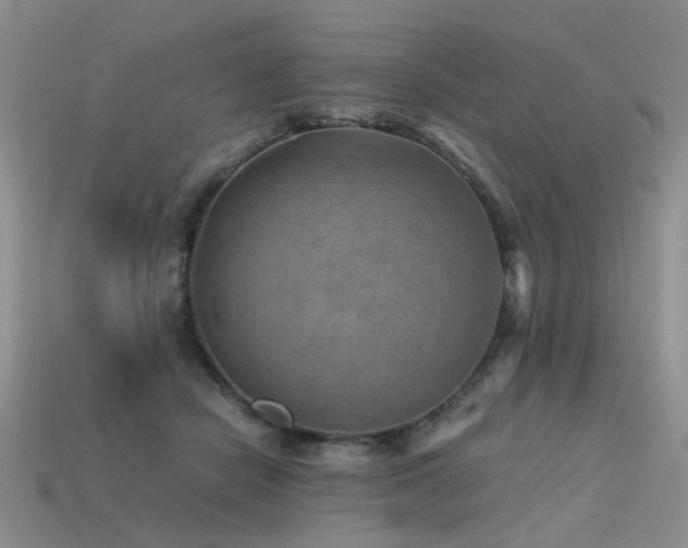 X0000113590462200909181335