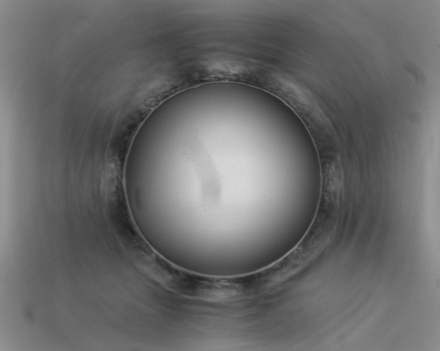 X0000113590463200909181335