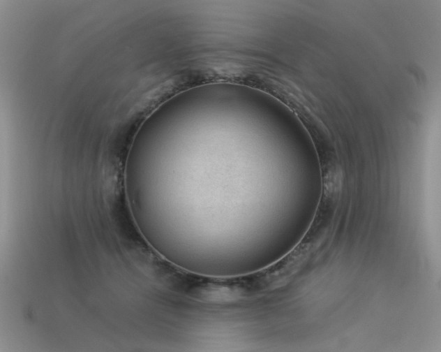 X0000113590464200909181335