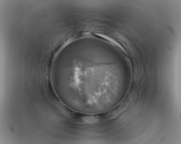 X0000113590465200909181335