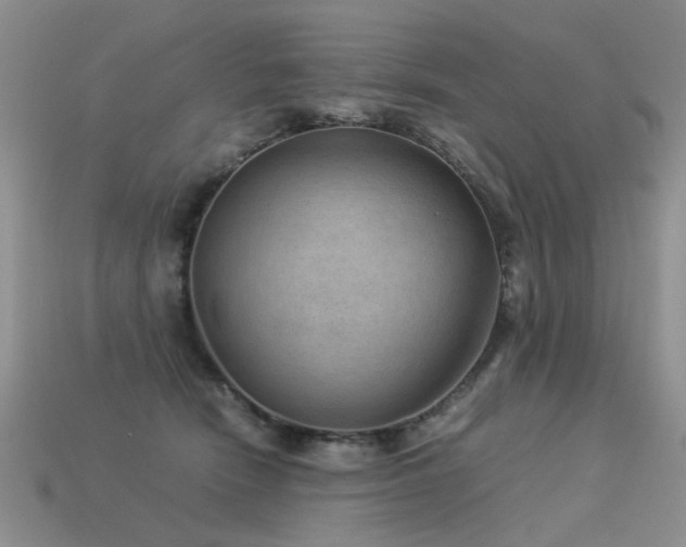 X0000113590466200909181335