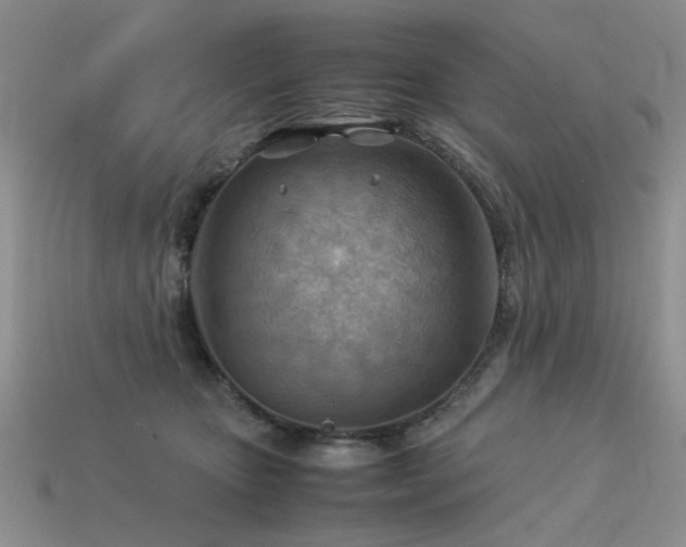 X0000113590467200909181335