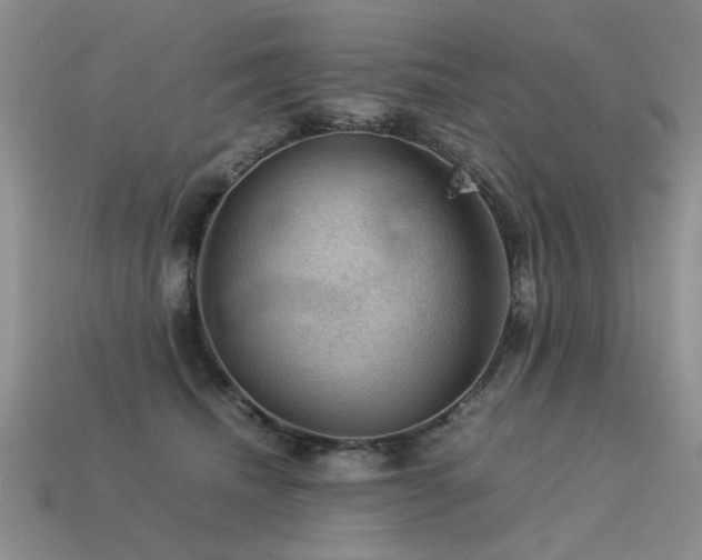 X0000113590468200909181335