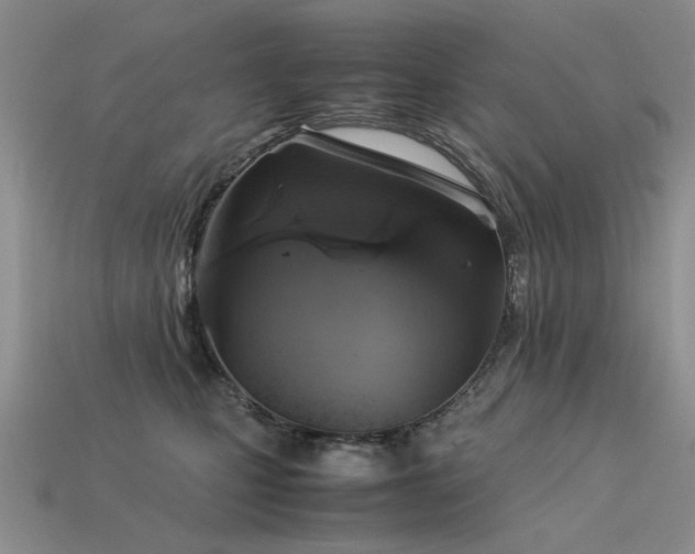 X0000113590471200909181335