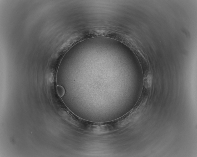 X0000113590472200909181335