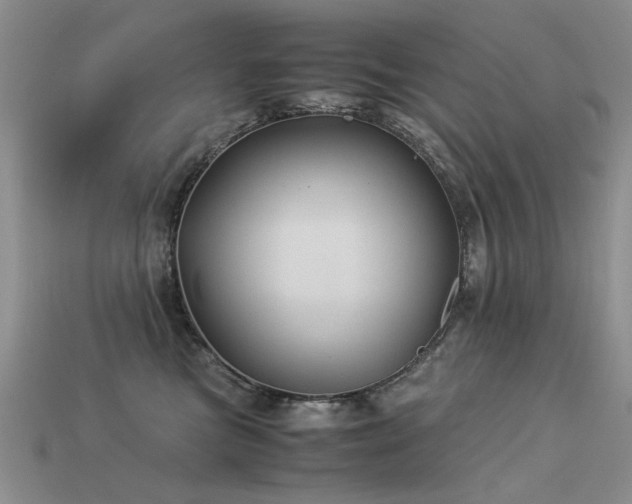 X0000113590473200909181335