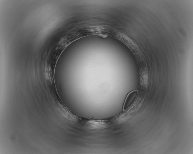 X0000113590477200909181335