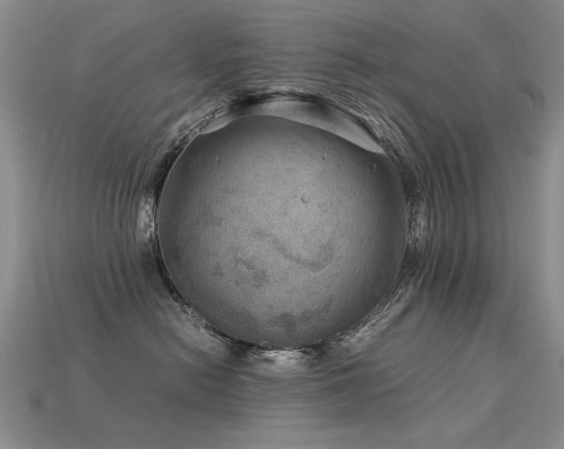 X0000113590478200909181335