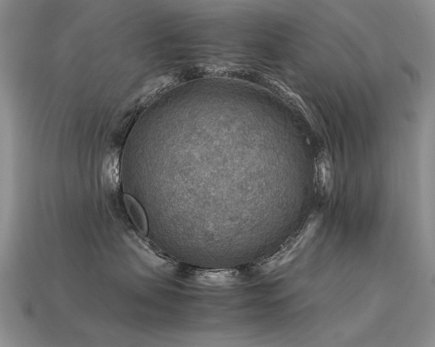 X0000113590479200909181335