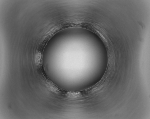 X0000113590480200909181335