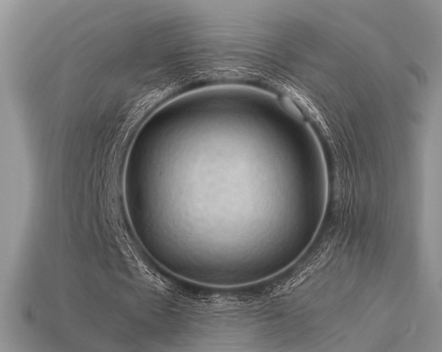 X0000113590481200909181335