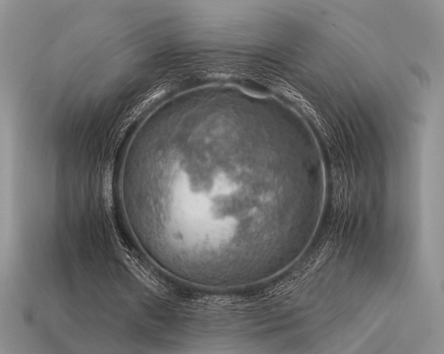 X0000113590482200909181335