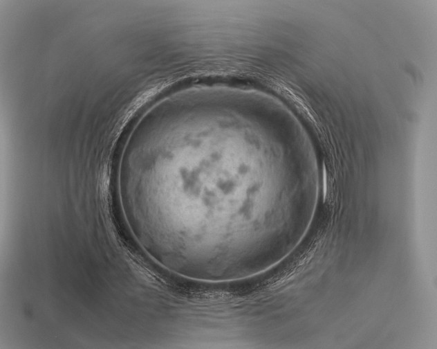 X0000113590483200909181335