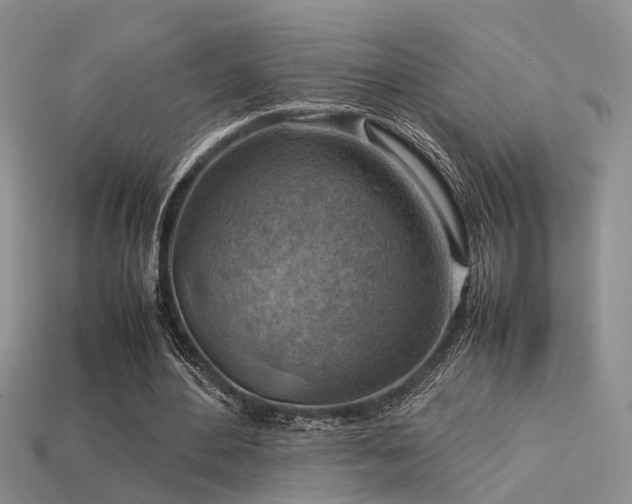 X0000113590484200909181335