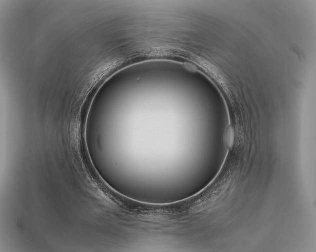 X0000113590485200909181335